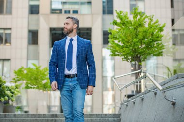 İş CEO 'su. Başarılı bir adam. Başarılı bir iş. Girişimcinin başarısı. Erkek bankacı. İş adamı görüşmeye gider. Takım elbiseli bir iş adamı. Kendine güvenen İspanyol işadamı..