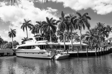 Limanda teknesi ve palmiyesi olan bir deniz kenarı varış yeri. Sahil limanı yaz için mükemmel bir yer. Varış noktası. Deniz kenarındaki yaz mevsiminde yatı olan bir liman. Lüks hayat..