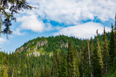 Kozalaklı orman ve yeşil yamaçlarla vahşi dağda nefes kesici bir yaz günü. Çayırlı dağ manzarası. Bulutlu gökyüzü ile dağlık bir manzara. Manzaralı yeşil tepe.