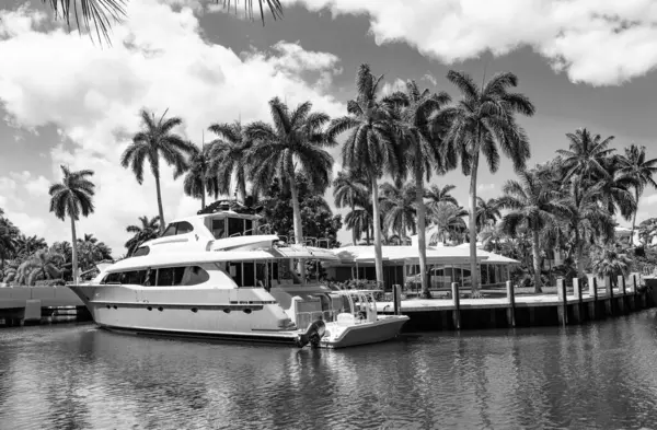 Limanda teknesi ve palmiyesi olan bir deniz kenarı varış yeri. Sahil limanı yaz için mükemmel bir yer. Varış noktası. Deniz kenarındaki yaz mevsiminde yatı olan bir liman. Lüks hayat..