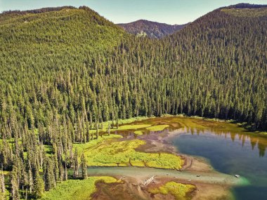 Washington 'daki Cooper Gölü. Cooper Gölü 'nün popüler doğa yürüyüşü. Cooper gölü ve dağ manzarası. Cooper Gölü 'nün dağ ve orman manzarası. Doğa manzarası. Büyüleyici bir ortam.