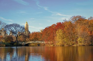 Central Park 'ta sonbahar doğası. Mevsimlik sonbahar manzarası. Sonbahar göletine park teknesi, New York. Pruva köprüsü. Manzaralı düşüş. Sonbaharda Central Park 'ta. Sonbahar manzarası. Göletteki tekne. Sonbahar doğa manzarası.
