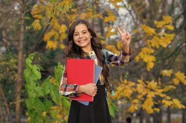 Çalışmak için sonbahar zamanı. Liseli kız dışarıda bilgi topluyor. Bilgi toplama günü. Sonbahar günü. Okula dönelim. Eğitim ve bilgi. Okul eğitimi. Öğrenci kız sonbaharda ödev yapar. Okul derecesi.