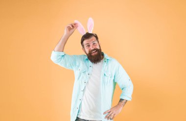 Kulaklarıma dokun. Uzun tavşan kulakları. Mutlu sakallı adam Paskalya tavşanı kostümü. Paskalya tavşanı ya da tavşan. Paskalya partisi için giyinmiş bir hippi. Doğurganlığın ve baharın Paskalya tavşanı. Eğleniyorum..