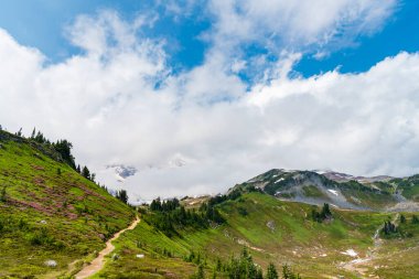 Bulutlu gökyüzü ile dağlık bir manzara. Yeşil Tepe Dağı manzaralı. Vahşi dağda, kozalaklı orman ve yeşil yamaçlı resimli bir yaz günü. Çayırlı dağ manzarası, Alpler.