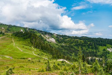 Yeşil Tepe Dağı manzaralı. Kozalaklı ağaç ve yeşil yamaçlı vahşi dağda huzurlu bir yaz günü. Çayırlı dağ manzarası. Bulutlu gökyüzü ile dağlık bir manzara. Gezgin şehvet ve macera.