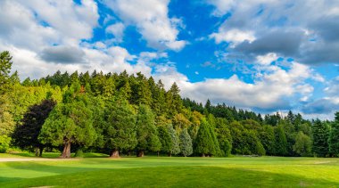 Evergreen Park manzara manzarası. Yeşilli yeşil orman parkı. Bulutlu bir günde yaz manzarası. Çevre ve ekoloji. Selvi ağacı parkı olan yeşil orman. Ağaçlı yeşil bir manzara. Doğa manzarası.