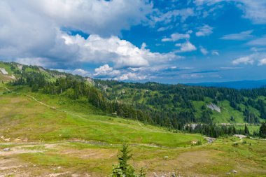 Çayırlı dağ manzarası. Bulutlu gökyüzü ile dağlık bir manzara. Yeşil Tepe Dağı manzaralı. Kozalaklı ormanlar ve yeşil yamaçlarla vahşi dağlarda resimli bir yaz günü..