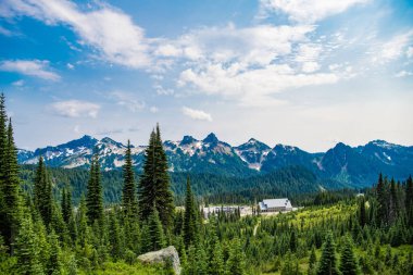 Dağ vadisi. Çam ağacı ve ormanlı dağ manzarası. Manzara kozalaklı orman. Yeşil vadi manzarası. Çayırın doğa manzarası. Vadi ve dağ manzarası. Şaşırtıcı doğal manzara..