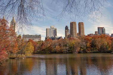 New York sonbaharı. Central Park 'ta sonbahar sezonu. Sonbahar mevsiminde mevsimlik şehir manzarası. - New York. New York. Central Park 'ta. Doğanın sonbahar güzelliği. Şehir parkında doğa. Parkta sonbahar manzarası. Sonbahar