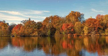 New York sonbaharı. New York City Central Park 'ta gölde teknesi var. Sonbahar manzarası. Central Park göletinde kürek çeken insanlar. Sonbaharda Central Park 'ta renkli devrilmiş ağaçlar. Sonbahar doğası