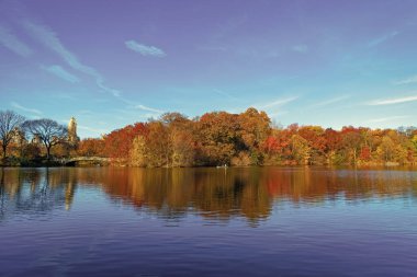 New York sonbaharı. New York City Central Park 'ta gölde teknesi var. Sonbahar manzarası. Central Park göletinde kürek çeken insanlar. Sonbaharda Central Park 'ta renkli devrilmiş ağaçlar. Sonbahar doğası