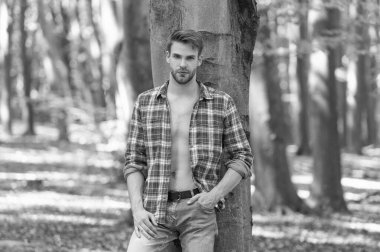 Handsome unshaven man in unbuttoned lumberjack shirt standing at tree forest background.
