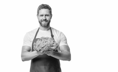 man in apron with lettuce vegetable isolated on white. copy space.