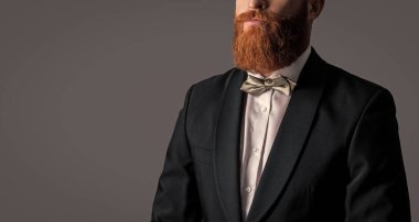 cropped view of man wearing tuxedo formalwear. tuxedo formalwear. bearded man in tuxedo formalwear isolated on grey background. man studio shot in tuxedo formalwear.