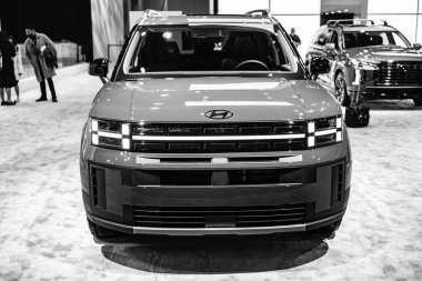 New York City, ABD - 27 Mart 2024: Hyundai Santa Fe SUV yeşil araba New York Uluslararası Otomobil Fuarı, ön manzara.