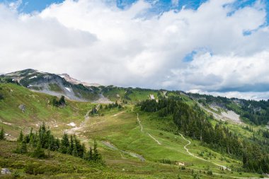 Bulutlu gökyüzü ile dağlık bir manzara. Yeşil Tepe Dağı manzaralı. Vahşi dağda, kozalaklı orman ve yeşil yamaçlı resimli bir yaz günü. Çayırlı dağ manzarası, Alpler.