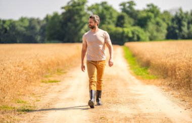 Buğday tarlasında çiftçi. Hasat ve çiftçilik. Tarlada çiftçi. İspanyol çiftçi tarla hasadını kontrol ediyor. Tarım işi. Tarımcı çiftçi adam. Ürün koruması. Tarım çiftliği.