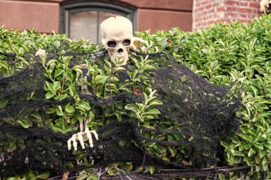 Ölüm günü. Ölü Cadılar Bayramı iskeleti. Şeker mi şaka mı? Cadılar Bayramı 'nın tüm bayramlarını kutlayın. Tüm Cadılar Bayramı. Kasım tatili. Cadılar Bayramı iskeleti dışarıda. Mutlu Cadılar Bayramı. İskeletin ürkütücü kafatası.