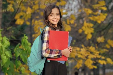 Öğrenci kız sonbaharda ödev yapar. Çalışmak için sonbahar zamanı. Liseli kız bilgi alır. Bilgi toplama günü. Sonbahar günü. Okula dönelim. Eğitim ve bilgi. Okul eğitimi. Öğrenme ve öğrenme.