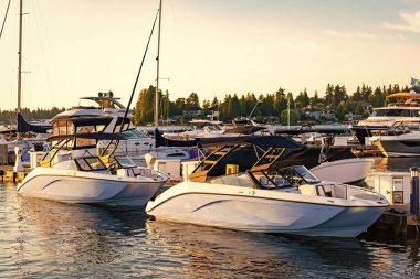 En iyi yaz tatili için özel lüks tekne. Yaz tekne tatili. Tekne gezisi. Yazın yat tatili. Marina körfezi. Deniz marinasında lüks bir karavan yatı. Tekne limanında yat. Marina hizmetleri.