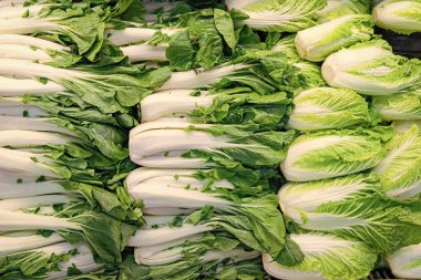 Çin ve Pekinensis lahanası. Bok choy arka planı. Yiyecek pazarında sebze sebzesi. Organik yiyecekler. Organik sebze bok choy. Organik Bok Choy 'un arka planı. Eko sebze. Sağlıklı diyet.