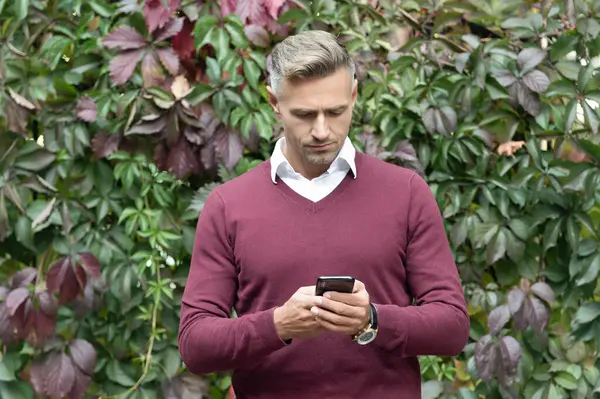 Sonbahar parkında telefonda konuşan bir iş adamı. İletişim tarzı. Yakışıklı iş adamı sonbahar yapraklarında telefon kullanır. Dışarıdaki iş adamı. Telefonlu bir adam. İş sohbeti. Akıllı telefon kontrol ediliyor.