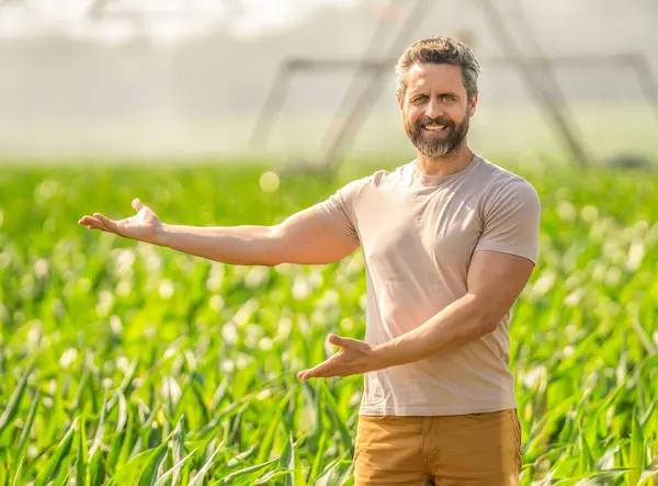 Su fıskiyesi sulama mahsulü. Damlatma sulama sistemi. Ekin sulama. Tarım ve tarım. Sulama sistemi tarımı suluyor. Fıskiye sulama. Çiftçi sunar.