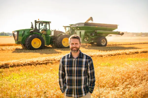 Buğday tarlasında çiftçi. Hasat ve çiftçilik. Tarlada çiftçi. İspanyol çiftçi tarla hasadını kontrol ediyor. Tarımcı çiftçi adam. Ürün koruması. Tarım çiftliği. Organik tarım.