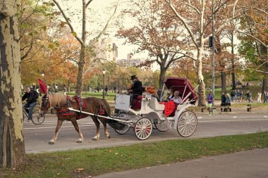 New York, ABD - 11 Kasım 2023: Central Park 'ta turistlerle dolu bir at arabası. At arabasıyla ya da at arabasıyla tur Central Park 'ta. Turistik gezi. Atlı at arabası..