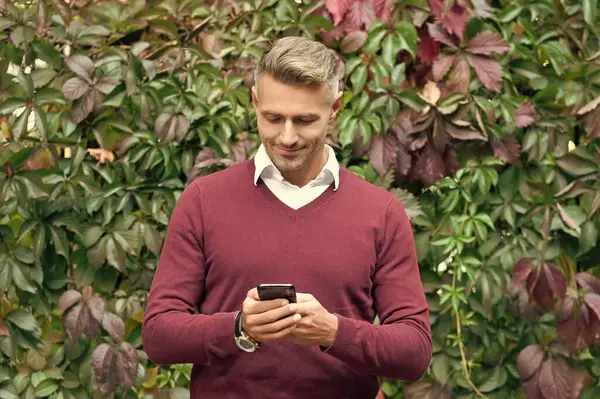 İş iletişimi tarzı. İnternet işi. İşadamı sonbaharda telefon kullanır. Sonbahar adamı telefonu kullanır. Sıradan bir iş adamı gibi. İş adamı dışarıda telefonla mesajlaşıyor. İnternet sörfü.