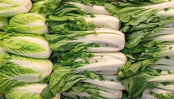 Bok choy arka planı. Yiyecek pazarında sebze sebzesi. Organik yiyecekler. Organik sebze bok choy. Organik Bok Choy 'un arka planı. Eko sebze. Çin ve Pekinensis lahanası.
