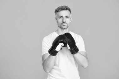 Boks eldivenli sporcu mavi üzerine izole edilmiş. Olgun boksör. Sporcu boks. Güçlü bir atlet. Spor salonundaki sporcu. Spor giyim sektöründe güçlü bir boksör. Egzersiz ve yumruk. Boks antrenmanı..