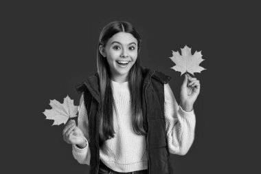 Sonbaharda moda tarzı. Sonbahar sezonu modası. Genç kız sonbahar yaprağını tutuyor. Kırmızı akçaağaç yaprağıyla eğlenen harika bir kız. Sonbahar doğası ellerimizde. Çocukluk mutluluğu.