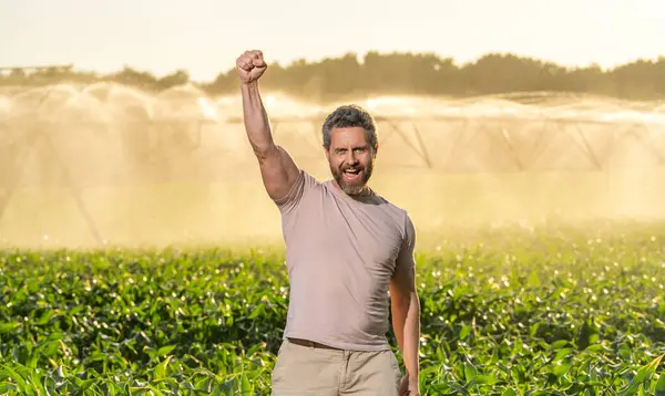 Damlatma sulama sistemi. Ekin sulama. Tarım ve tarım. Sulama sisteminde tarımı sulayan bir adam. Kırsal kesimde bir çiftçi. Su püskürtme sulama tarlası. İşçi Bayramı.