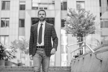 Başarılı bir adam. Başarılı bir iş. Girişimcinin başarısı. Erkek bankacı. İş adamı görüşmeye gider. Takım elbiseli bir iş adamı. Kendine güvenen bir iş adamı. İş CEO 'su. İleri görüşlü lider.