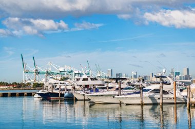Yazın lüks bir yat gezisi. Miami plajına demir atmış bir yat. Marina lüks şehir manzarası. Limanda kiralık bir yat. Yat marinası. Lüks yat kiralama. Miami limanı marinası.