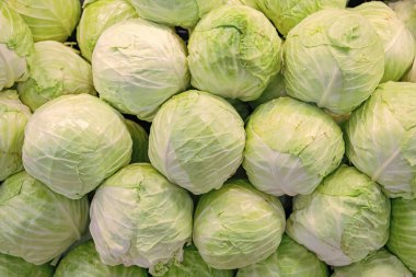 Organik lahana arka planı. Eko sebze. Yeşil lahana arka planı. Yiyecek pazarında sebze sebzesi. Organik yiyecekler. Hasat ve çiftçilik. Organik sebze lahanası. Biyoloji çiftliği.