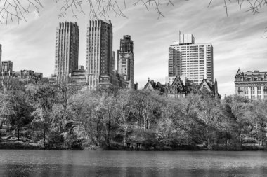 New York düşüşü. New York 'ta sonbahar. Sonbahar mevsiminde mevsimlik şehir manzarası. Doğanın sonbahar güzelliği. Şehir parkında doğa. Parkta sonbahar manzarası. Sonbahar manzarası. Doğa sonbahar manzarası.