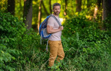 Sırt çantalı bir gezgin. Yürüyüş macerası. Seyahat yaşam tarzı. Kırsalda yürüyüş yapan bir adam. Ormandaki İspanyol adam. Ormanda yürüyüş yapan sırt çantalı bir yürüyüşçü. Erkek yürüyüşçü ormanda yürüyor. Kamp malzemeleri.