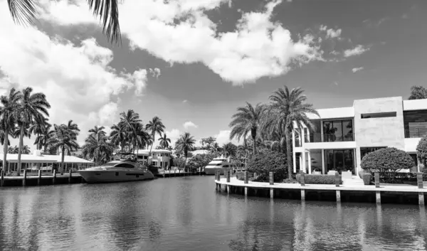 Deniz kenarındaki yaz mevsiminde yatı olan bir liman. Limanda teknesi ve palmiyesi olan bir deniz kenarı varış yeri. Sahil limanı yaz için mükemmel bir yer. Hedef nokta.