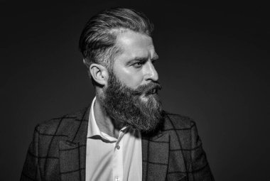 Şık takım elbiseli karizmatik sakallı adam resmi tarzda kızıl sakallı ve gri saçlı..