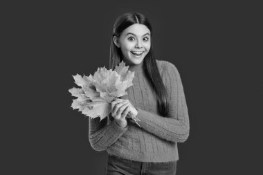 Genç kız sonbahar akçaağaç yaprağını tutuyor. Düşen yapraklar. Sonbahar tarzı akçaağaç yapraklı bir kız. Sonbahar modası. Sonbahar sezonu. Sonbahar yaprakları ve kırmızıda izole edilmiş mutlu genç kız. Altın yapraklar.