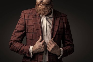 Şık takım elbiseli karizmatik sakallı adam. Resmi tarzda. Kızıl sakallı, gri, kırpık manzaralı..