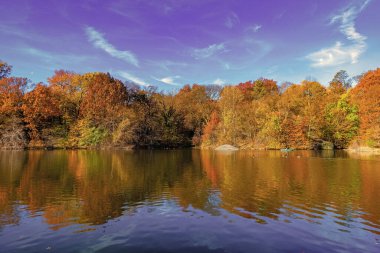 Central Park 'ta küçük bir gölde kayık. Sonbaharda Central Park Gölü 'nde insanların kürek çektiği bir yer. Central Park güneşli sonbahar gününde renk değiştiriyor. Sonbahar manzarası. Sonbahar doğası. Şehir simgesi.