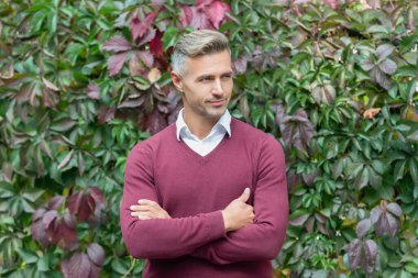 Kendinden emin, olgun bir iş adamı. Sonbahar portresi. Sonbahar parkındaki iş adamı. Kafkasyalı bir adamın günlük bir tarzı vardır. Olgun erkek portresi. Açık havada iş adamı portresi.