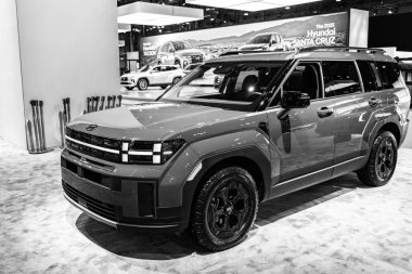 New York City, ABD - 27 Mart 2024: Hyundai Santa Fe SUV yeşil araba New York Uluslararası Otomobil Fuarı 'nda, köşe manzaralı.