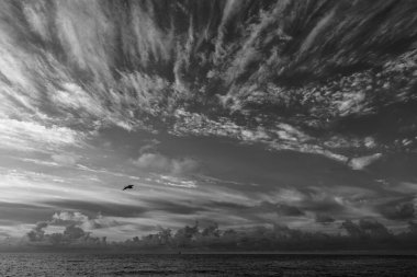 Yaz plajında deniz doğumu. Yaz tatilinde gün batımı deniz manzarası. Deniz kıyısında gün doğumu. Gün batımında dramatik deniz manzarası. Deniz manzarasında romantik bir yaz tatili. Martılarla dramatik gün doğumu.