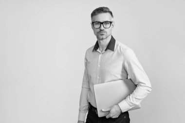 CEO müdürü iş adamı Grey 'de izole edilmiş. Video konferansı. Bilgisayarı kullanan başarılı bir iş adamı. İşadamı internette çalışıyor. Online pazarlama müdürü. İş başarısı. Pankart.