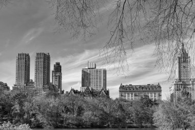 - New York. New York. Central Park Sonbahar manzarası. Doğa sonbahar manzarası. Central Park 'ta sonbahar sezonu. Sonbahar mevsiminde mevsimlik şehir manzarası. Doğanın sonbahar güzelliği. Şehir parkında doğa. Parkta sonbahar manzarası. Huzurlu yürüyüşler.